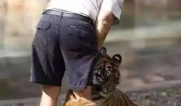 松哥打虎最新爆料,独家爆料直击事件真相